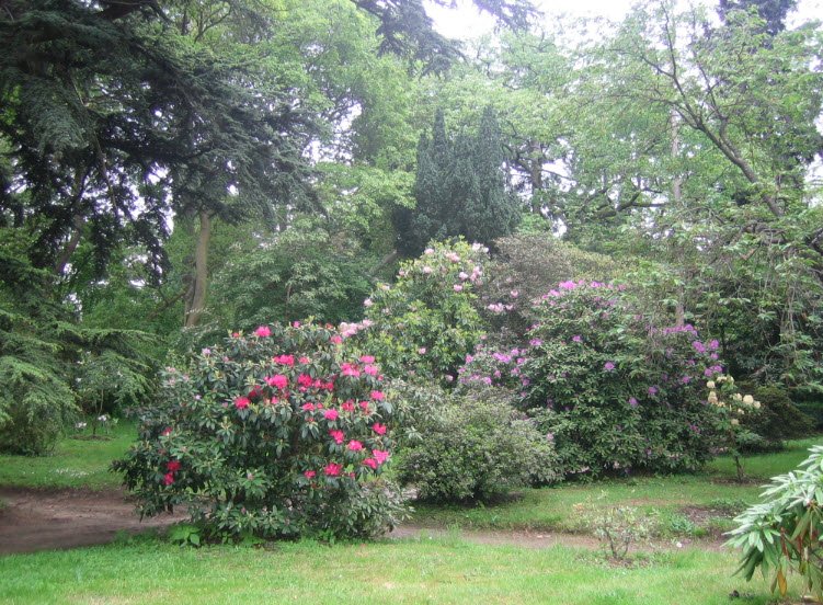 Arboretum Roger de Vilmorin, Verrières-le-Buisson, France, France
